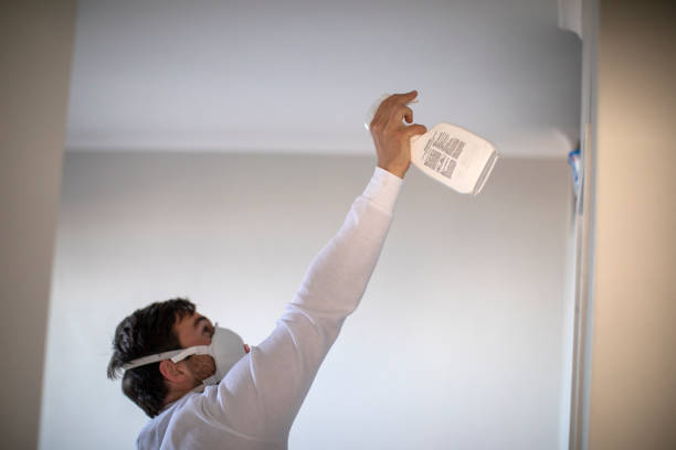 Crawl Space Mold Removal in Clarendon, AR