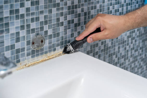 Best Office Mold Removal Services  in Clendon, AR